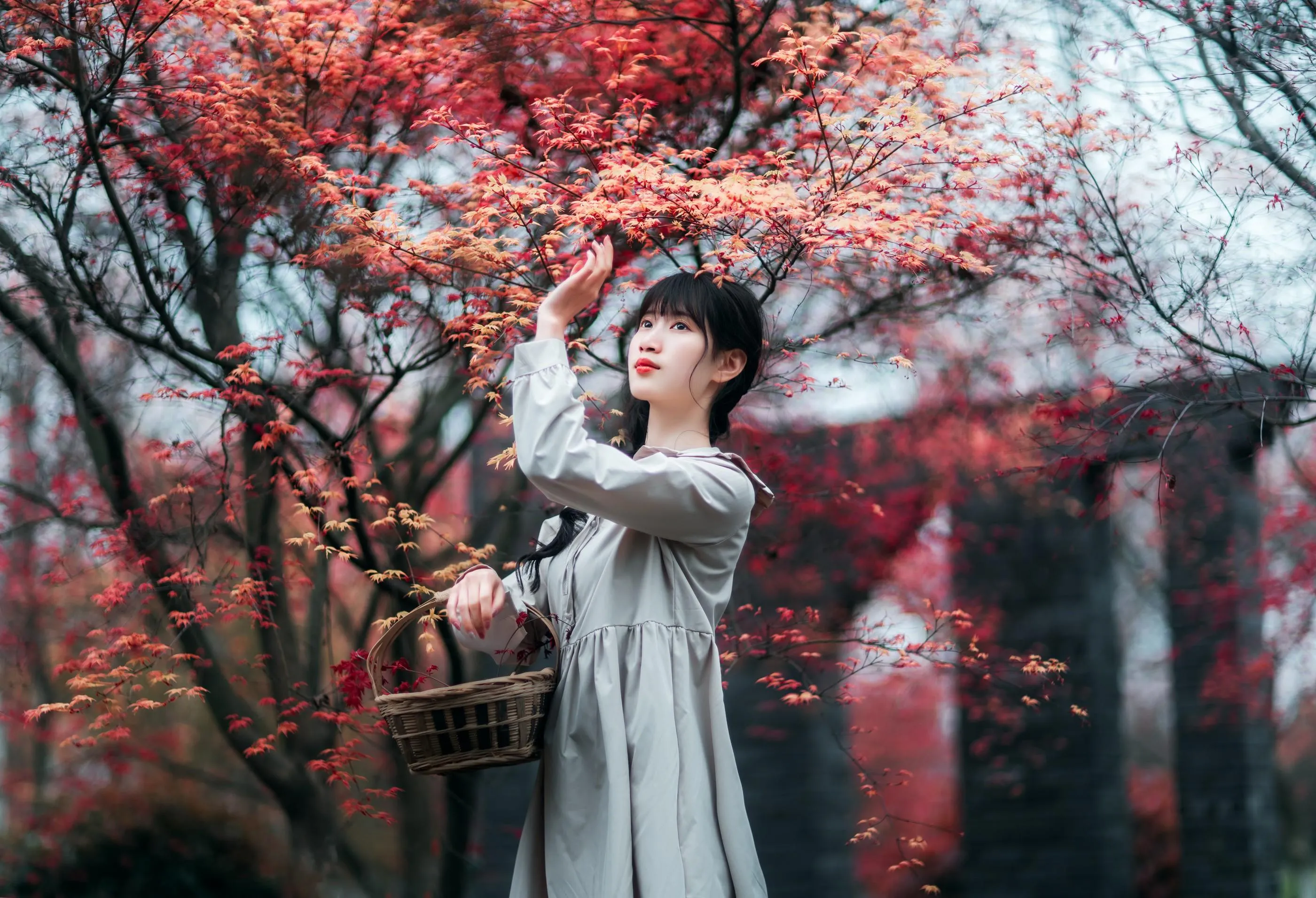 [YITUYU艺图语]2021.12.23 枫林春晓 初茶 [39P]插图